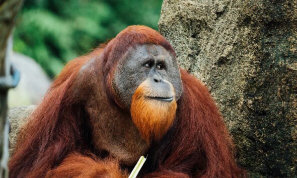 The Most Viral Trivia Fun Facts Of 2025