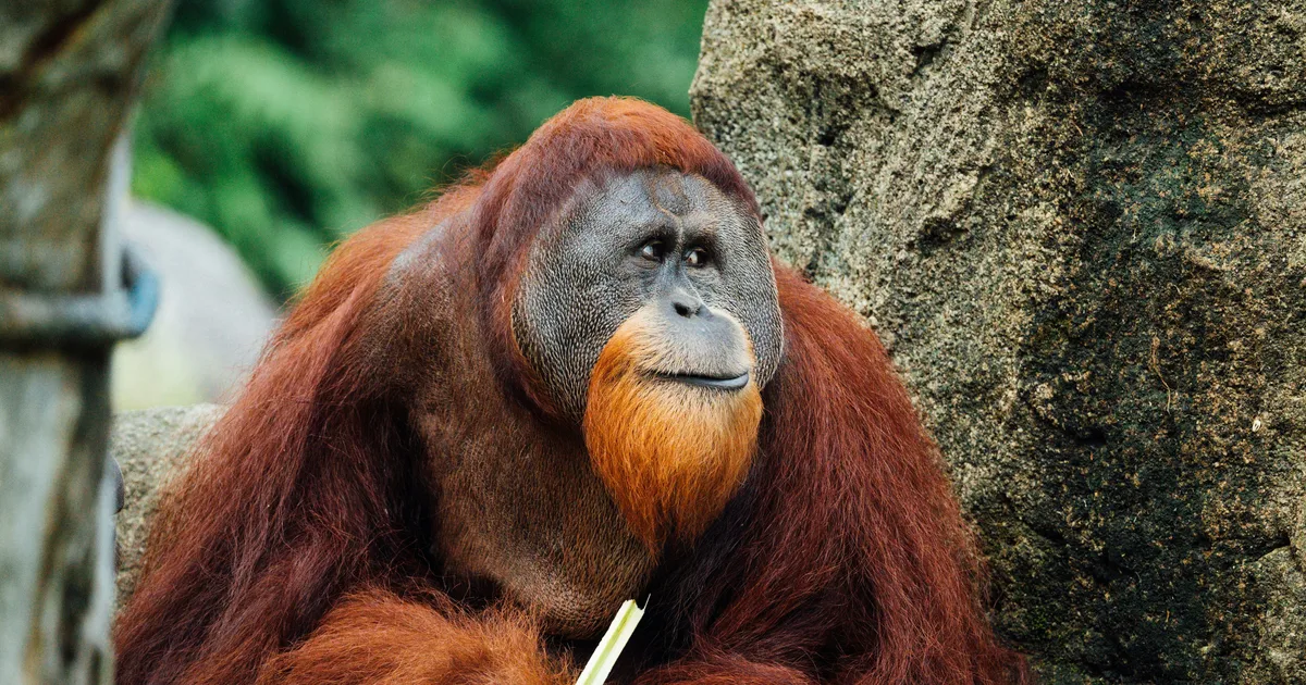 The Most Viral Trivia Fun Facts Of 2025