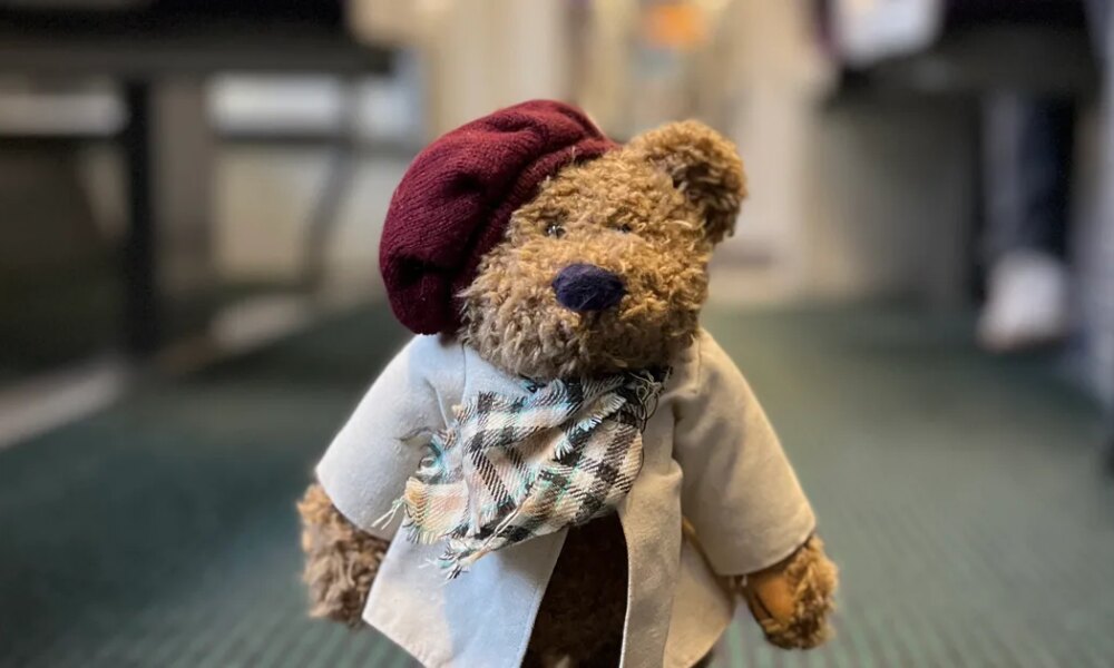 'Operation Teddy Rescue' Helps Reunite Kids With Lost Toys