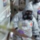 What We Know Now About The Novichok Poisonings, Seven Years Later