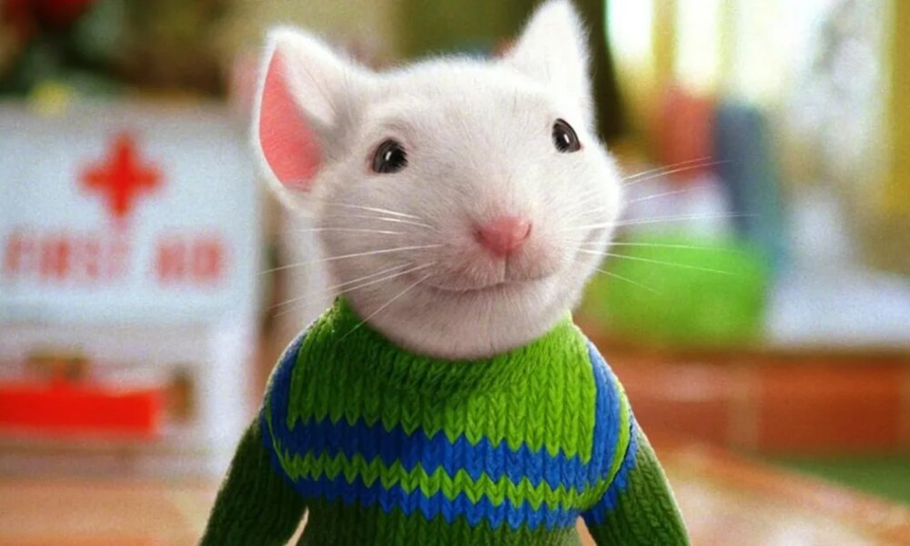 No, Stuart Little Isn't A Mouse