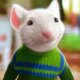 No, Stuart Little Isn't A Mouse