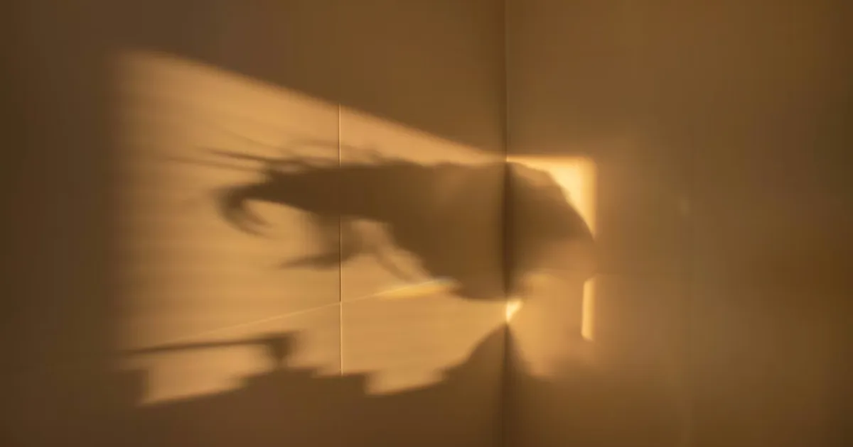 How Can I Sleep Better With SAD?