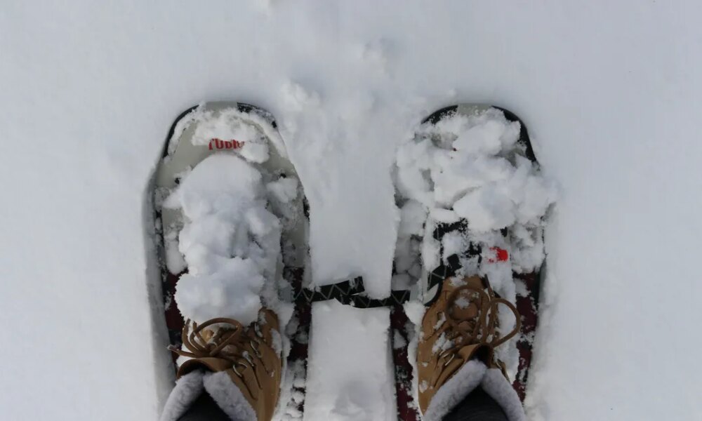 Why 'Snowshoeing' Can Be Better For Us Than Walking