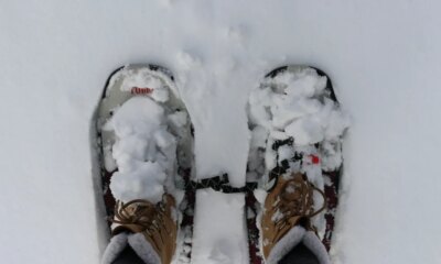 Why 'Snowshoeing' Can Be Better For Us Than Walking