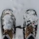 Why 'Snowshoeing' Can Be Better For Us Than Walking