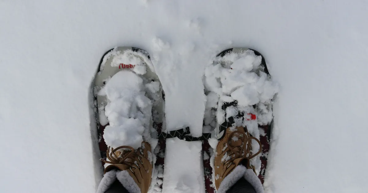 Why 'Snowshoeing' Can Be Better For Us Than Walking