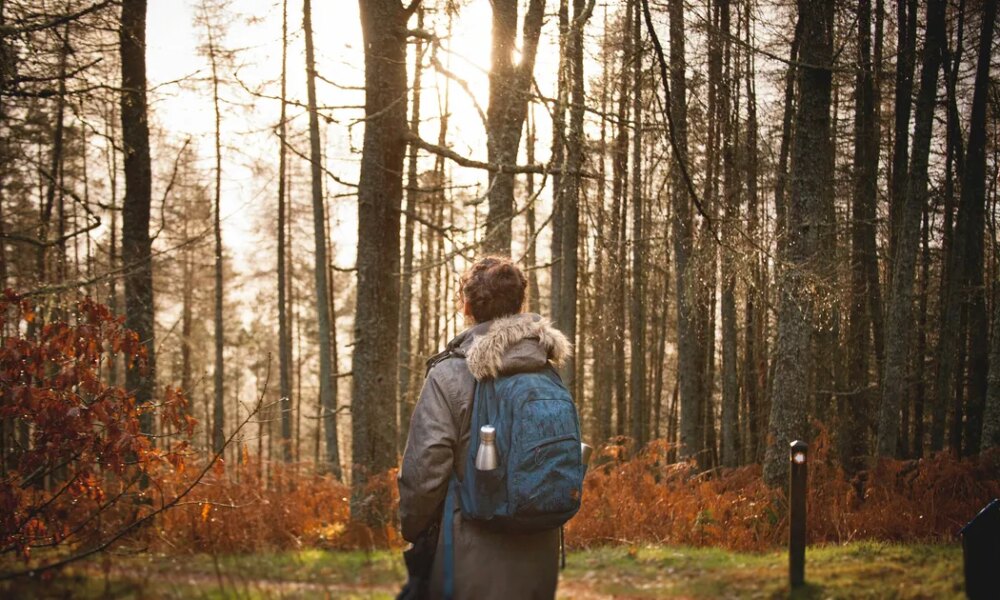 The Whimsical Holiday Trend Is Set To Be Huge In 2026