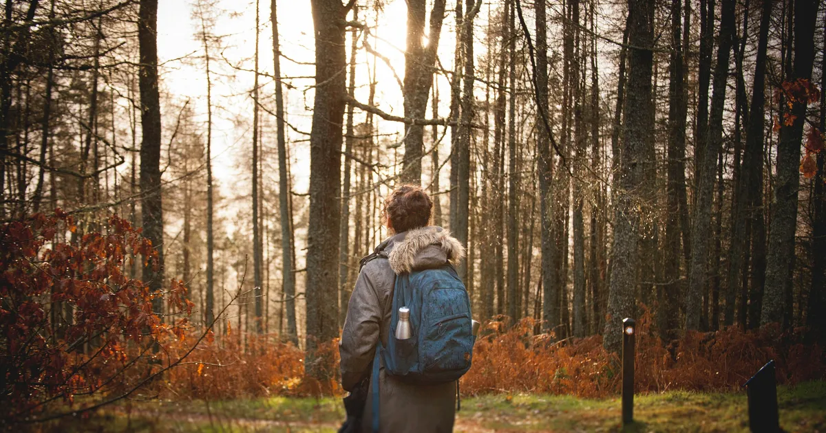 The Whimsical Holiday Trend Is Set To Be Huge In 2026