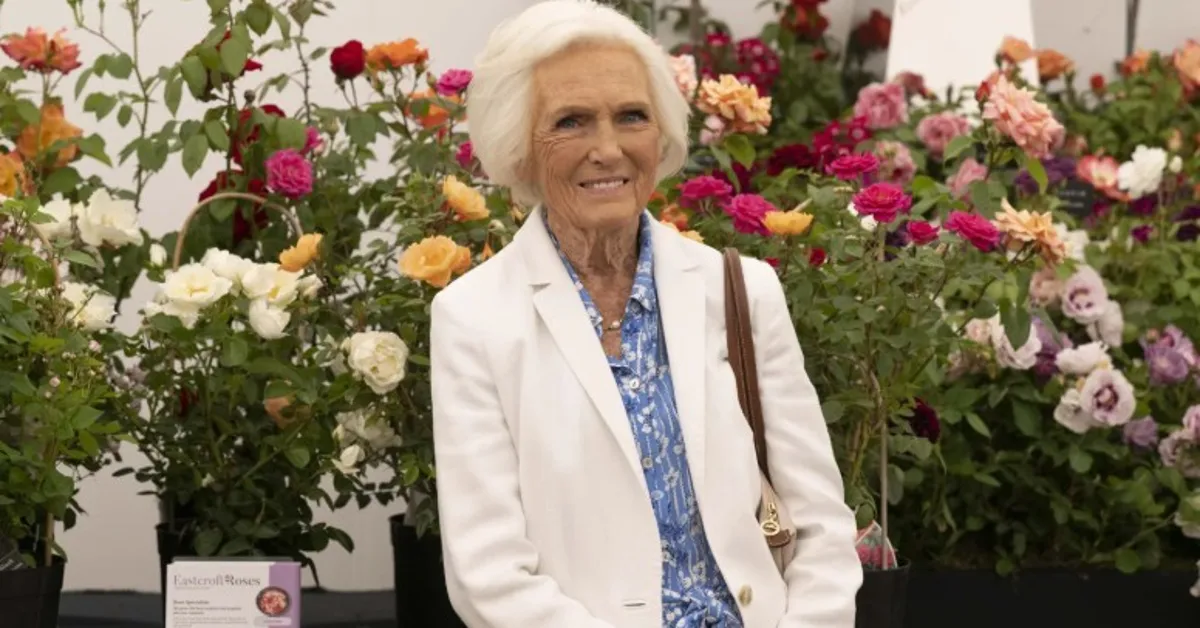 Mary Berry Sage And Onion Stuffing Recipe For Christmas