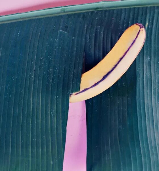 Pegging Has Risen In Interest Among Straight Men In 2025