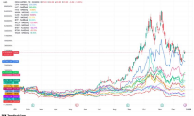 Winners and laggards emerge as IREN leads and BTDR falls behind