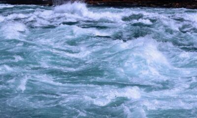 BTC gives up early Monday gains, falling back below $88,000