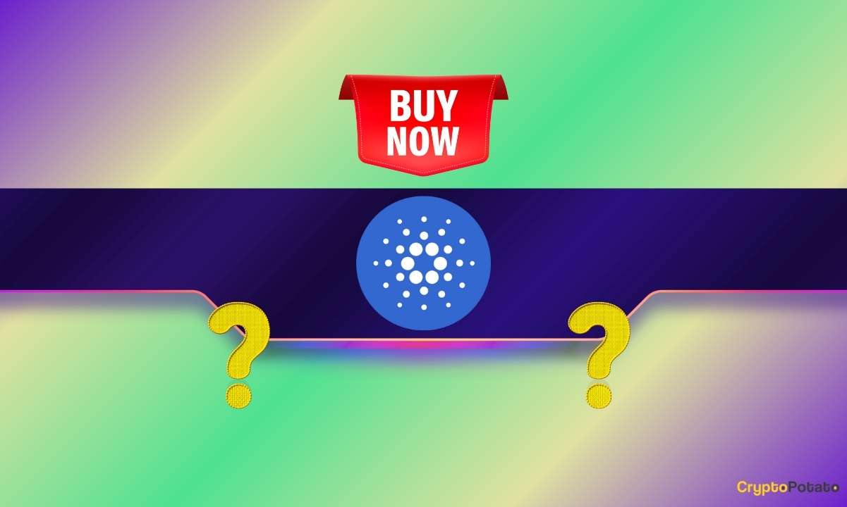 Cardano (ADA) Plunges by 8% Daily but This Important Indicator Flashes the Buy Signal
