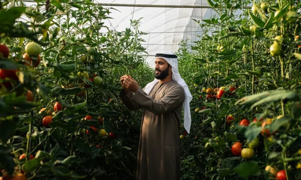 Abu Dhabi agriculture al ain farming