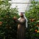 Abu Dhabi agriculture al ain farming