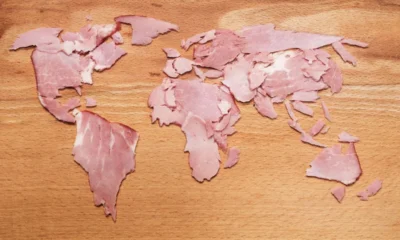 Animal protein outlook 2026