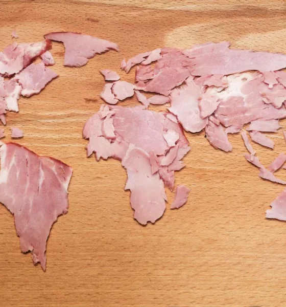 Animal protein outlook 2026