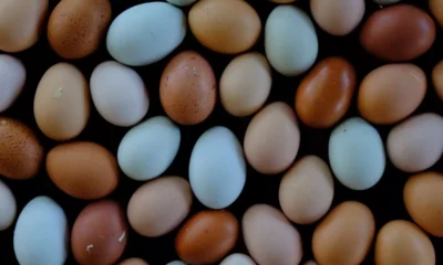 Powering baked goods with protein