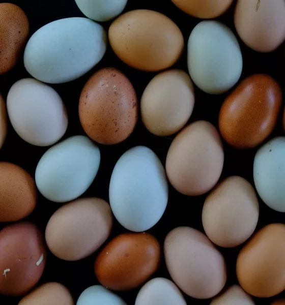 Powering baked goods with protein