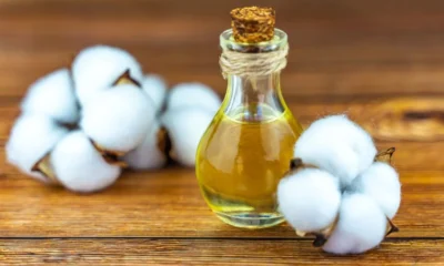 ADM, cottonseed processor forming joint venture