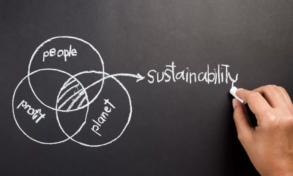 Decoding the complexity of sustainability