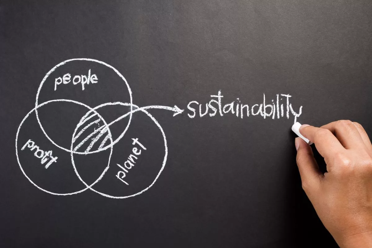 Decoding the complexity of sustainability