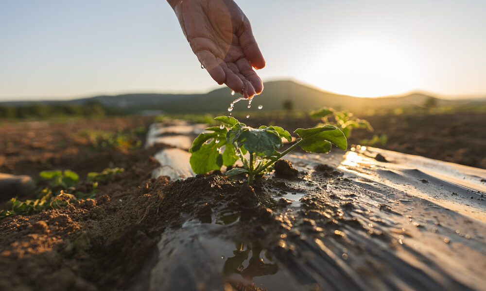 Abu Dhabi Rolls Out AI-Powered Water Meters