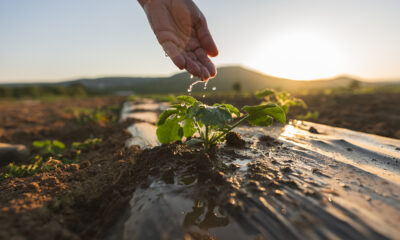 Abu Dhabi Rolls Out AI-Powered Water Meters