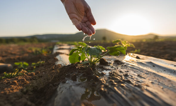 Abu Dhabi Rolls Out AI-Powered Water Meters