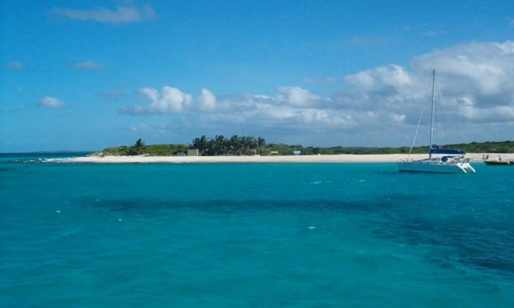 The tiny Carribean island where iguanas on brink of extinction are thriving
