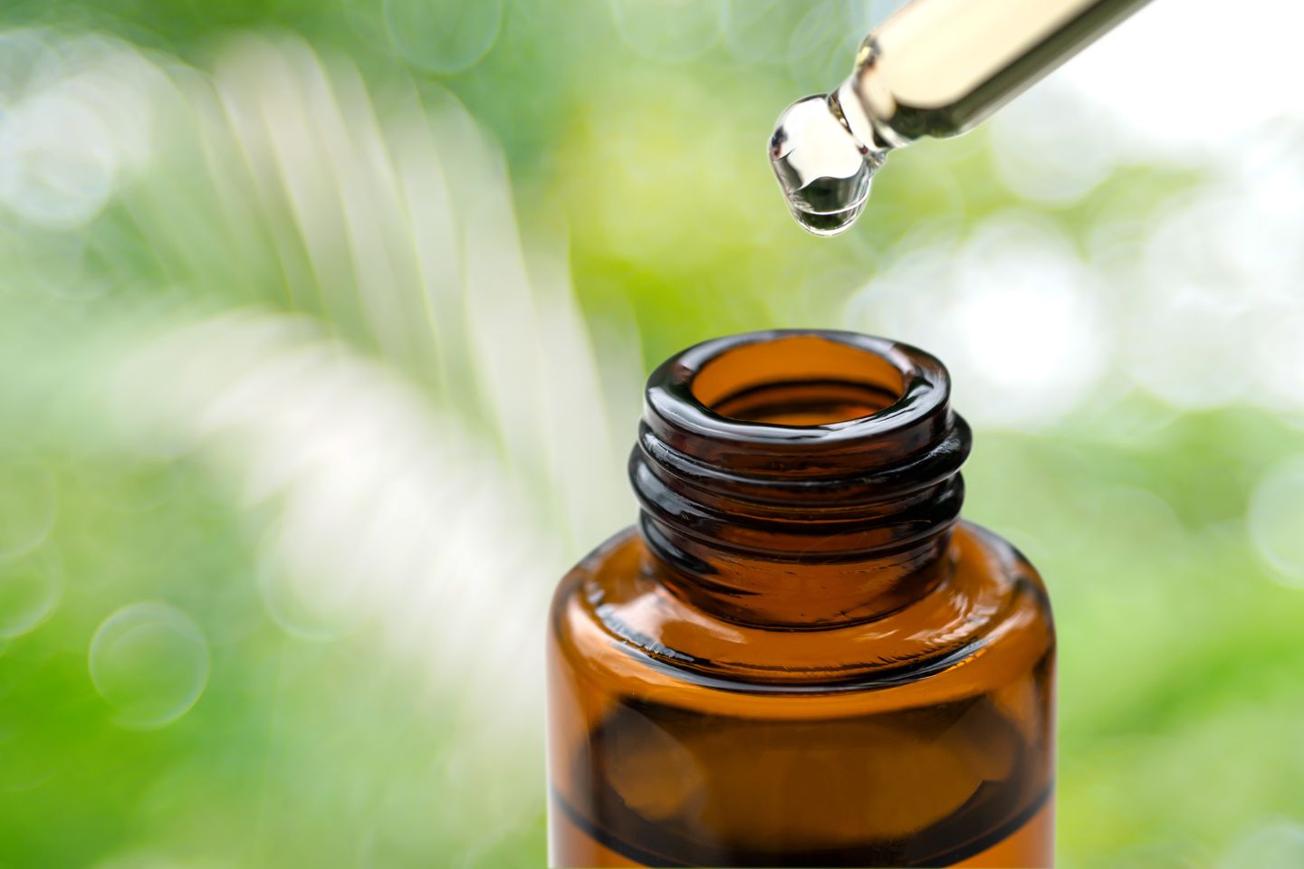 Bringing balance back to sandalwood