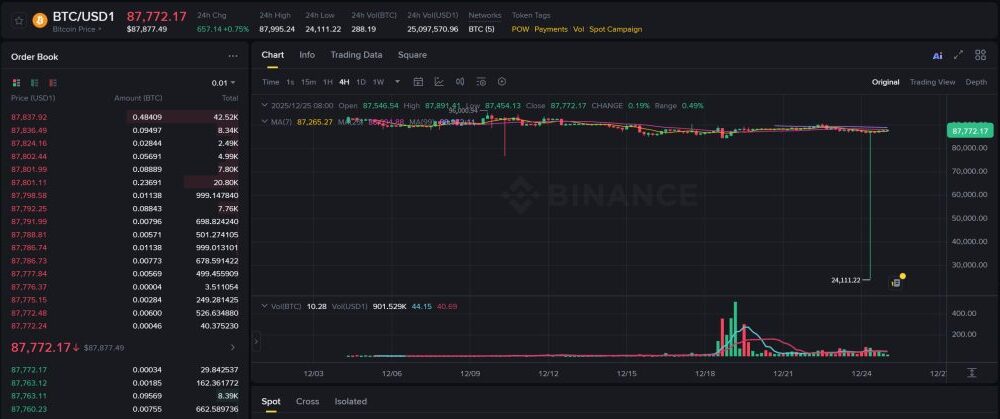 Bitcoin Triggers Sharp Flash Crash to $24K on Binance USD1 Pair