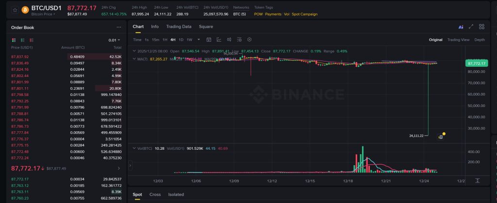 Bitcoin Triggers Sharp Flash Crash to $24K on Binance USD1 Pair
