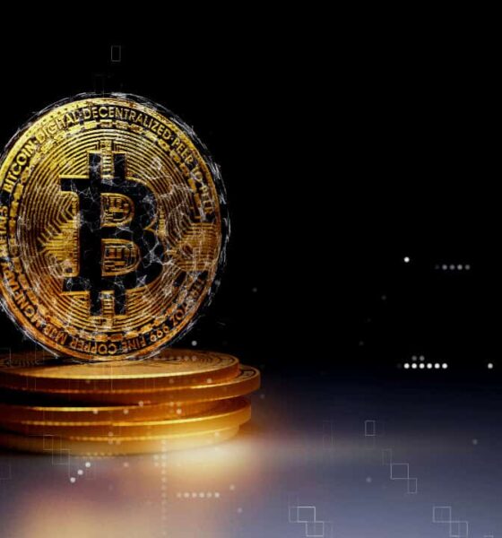 Veteran Analyst Explains Why Bitcoin Is Not Pumping