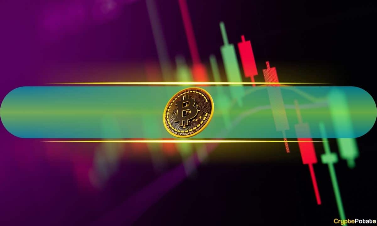MemeCore (M) Explodes by 11% Daily, Bitcoin (BTC) Eyes $90K: Market Watch