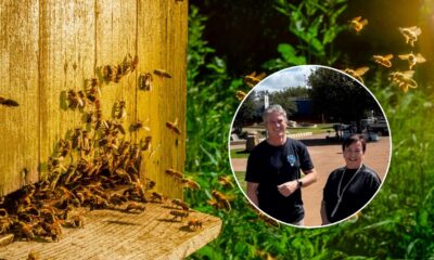 Scaling up innovation in the regions