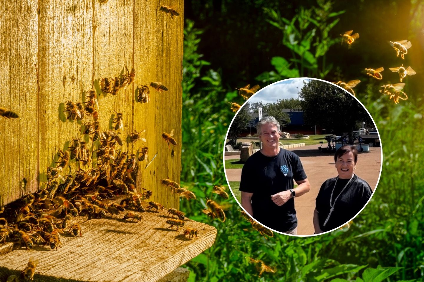 Scaling up innovation in the regions