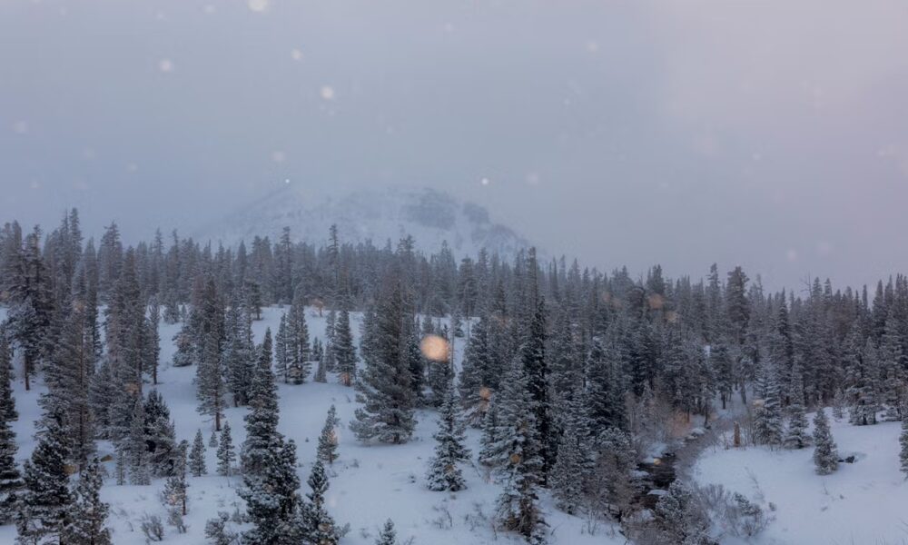 30-year-old dies after avalanche on popular California mountain