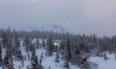 30-year-old dies after avalanche on popular California mountain