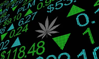 Tilray Brands Stock Surges 32% After Hours: What Triggered the Rally?