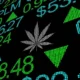 Tilray Brands Stock Surges 32% After Hours: What Triggered the Rally?