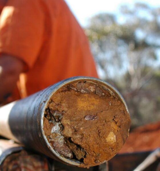 Canyon remains 'on track' in Cameroon