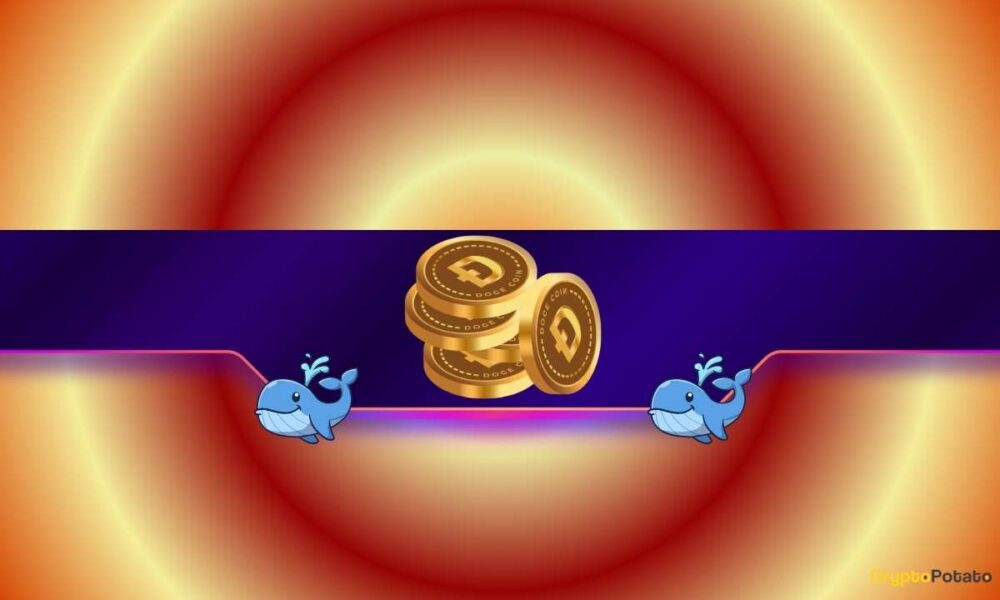 Why Whales Are Selling and ETFs Are Flopping