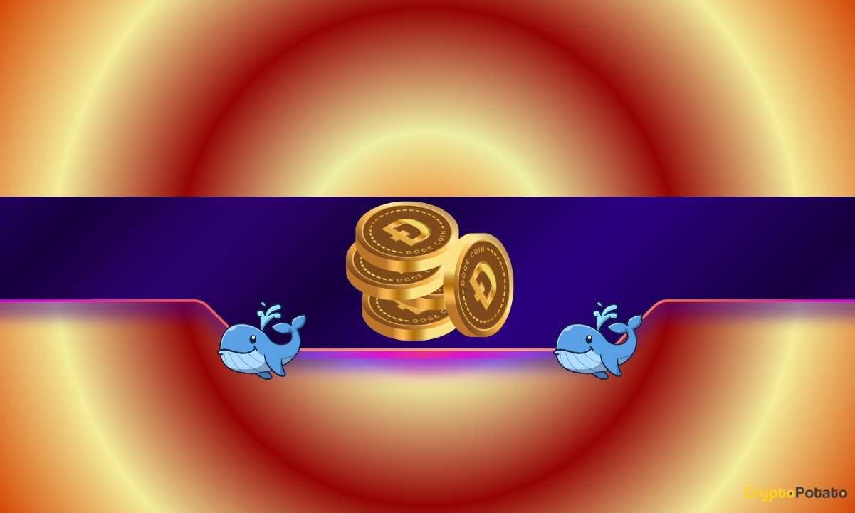 Why Whales Are Selling and ETFs Are Flopping