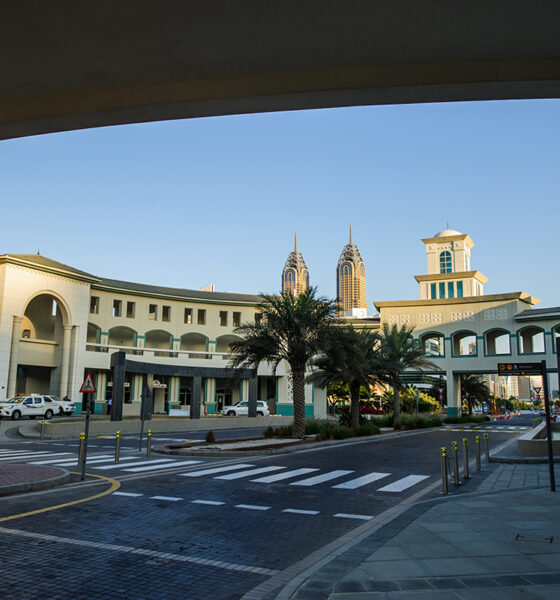 UAE Government Issues Federal Decree Law Regulating Higher Education and Scientific Research