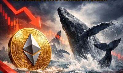 Crypto Breaking News