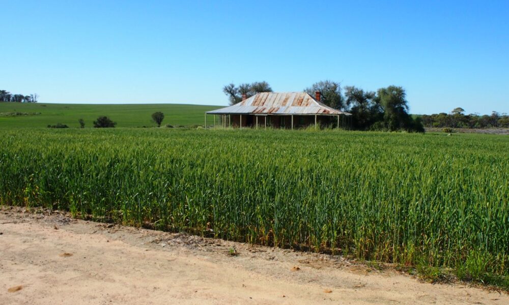 Opinion: Politics and a production push