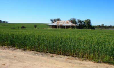 Opinion: Politics and a production push