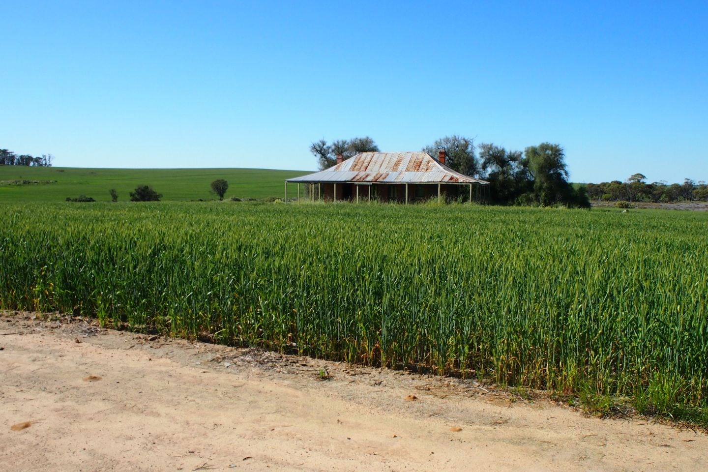 Opinion: Politics and a production push